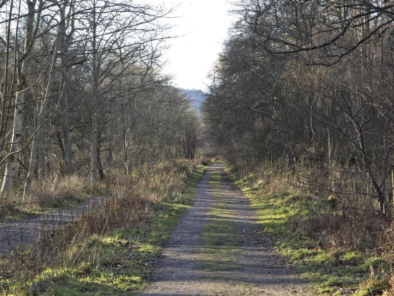 Photo of 4 LOOKING WEST TO SITE OF TERMINUS IN DISTANCE.JPG