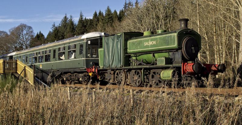 Photo of STOCK AT RIVERSIDE HALT ROYAL DEESIDE RAILWAY  13.1.22.jpg