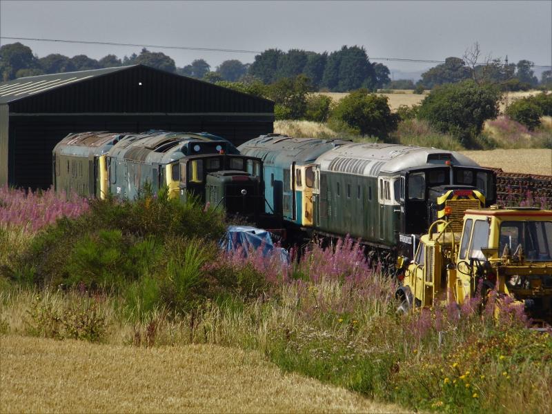 Photo of Diesels on Bridge of Dun shed 13/08/22