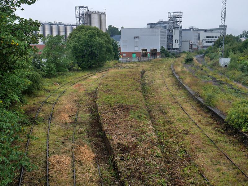 Cameron Bridge revealed: Recent vegetation clearance has revealed the goods yard track after many years. Track lifting to come..
15 August 2022. Photo of Cameron Bridge revealed