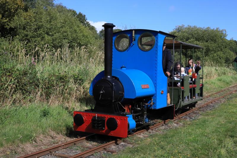 Big Dave: 2021 built Big Dave operating at the Lathalmond Bus Museum on Saturday 20th August Photo of Big Dave