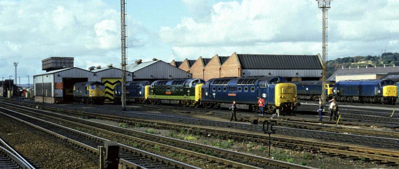 55016,55002,55013 HAYMARKET 19.9.81.jpg:
LUCKY SHOT TAKEN FROM A PASSING TRAIN. Photo of 55016,55002,55013 HAYMARKET 19.9.81.jpg