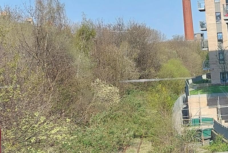 Powderhall branch: View fro Leith Walk, looking towards POwderhall, track still in place and just visible. Last train ran 12.2016 and remaining wagons removed 25.01.2017. Photo of Powderhall branch