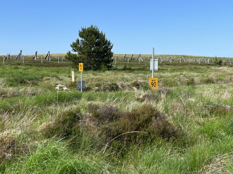 FNL - Altnabreac Area: Just to the Wick side of Altnabreac Station I noticed this sign. Facing the driver is the 70 limit but turned at 90 degrees is a 90 limit. Is line speed to be raised at some point? Photo of FNL - Altnabreac Area