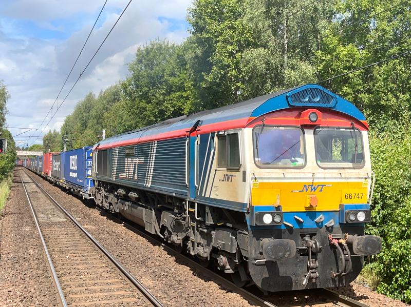 Photo of Sunny Sheffield Shed