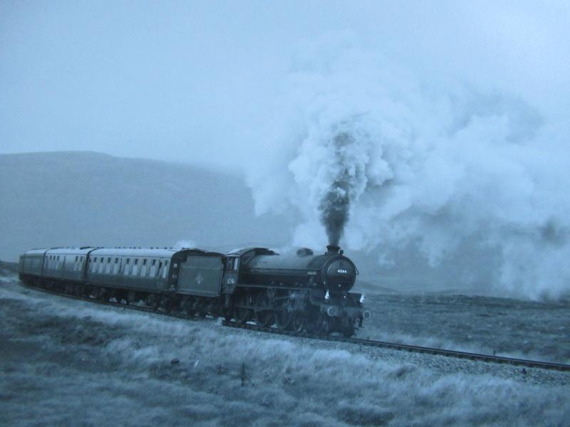 WHL Photo charter. : B1 61264 masquerading as 61244.
Photo charter near Rannoch. Thought to be October 2003.
(thread/558259. Caption edited) Photo of WHL Photo charter.