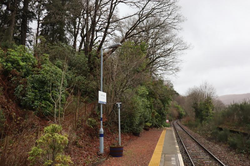 Photo of Lochawe Station - Tree Problem!