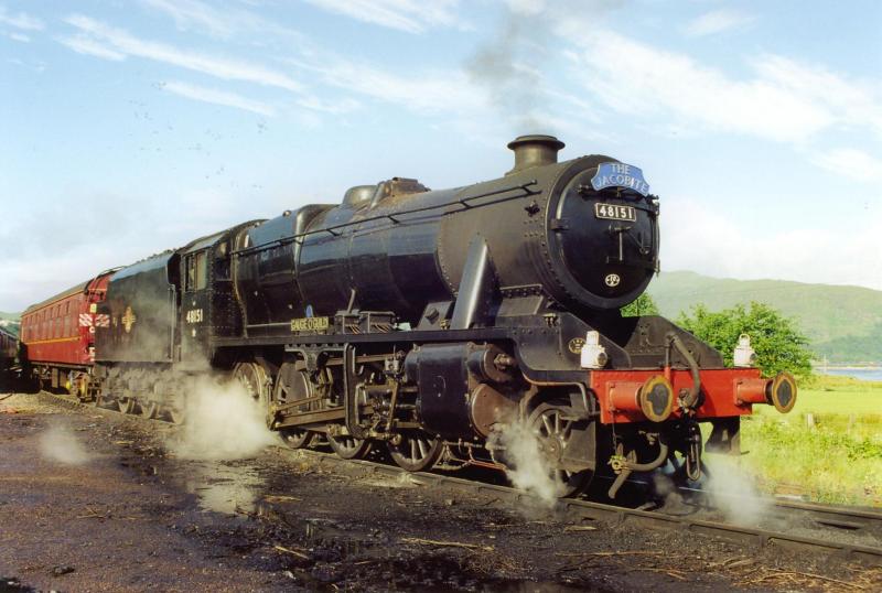 Photo of 8F on shed