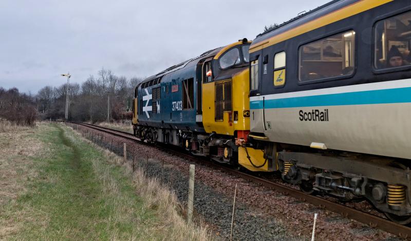 28.12.24 DIESEL GALA (9).jpg: Photo of 28.12.24 DIESEL GALA (9).jpg