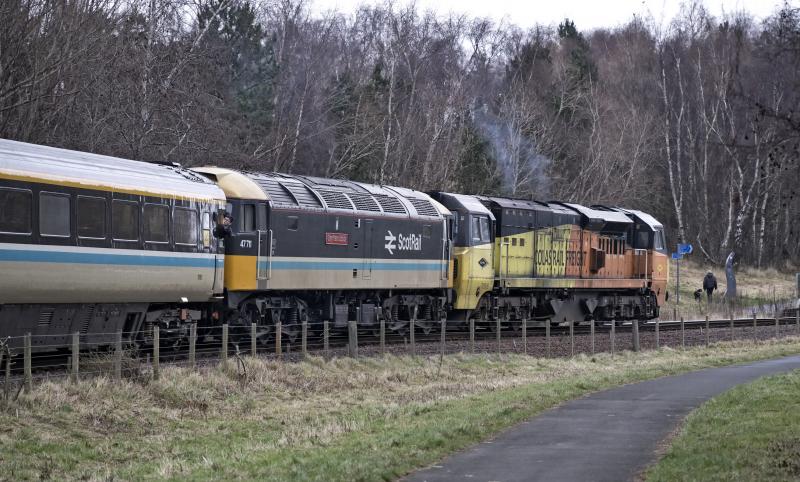 28.12.24 DIESEL GALA (1).jpg: Photo of 28.12.24 DIESEL GALA (1).jpg
