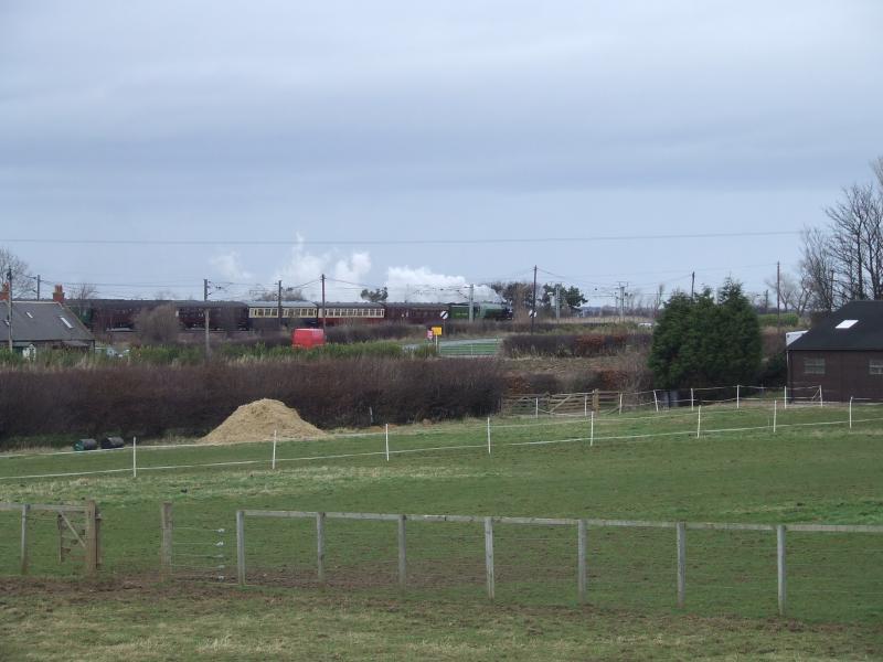60163 passing Ballencrieff: 60163 on 14:19 Edinburgh to Leeds on 7 March 2009 passing Ballencrieff at 14:35 Photo of 60163 passing Ballencrieff