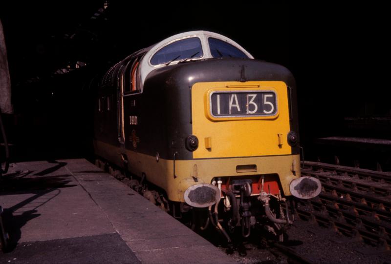 St Paddy at Waverley: Ready for the off, D9001 peeks out from the shadows at Plaform 1 on 23 May 1963 Photo of St Paddy at Waverley