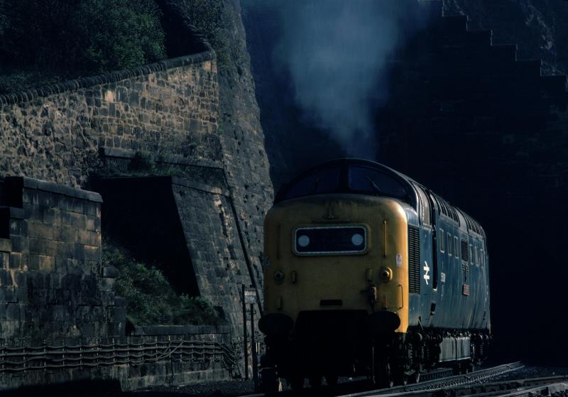 The Green Howards at Waverley Station: On 4 April 1981, 55008 blasts out of Calton N tunnel into the morning light as it heads for Platform 1 and the 09.50 Edi-Plymouth, which it will haul to York Photo of The Green Howards at Waverley Station