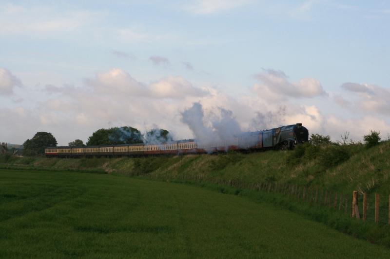 U of SA at Kettlebridge: Photo of U of SA at Kettlebridge