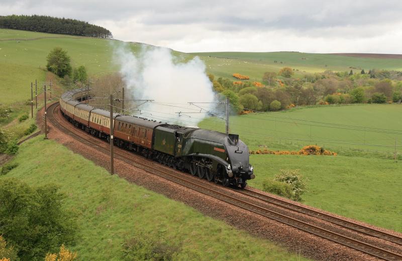 60009 on 1Z20: 60009 on the 09.34 1Z20 Edinburgh to York at Houndwood Photo of 60009 on 1Z20