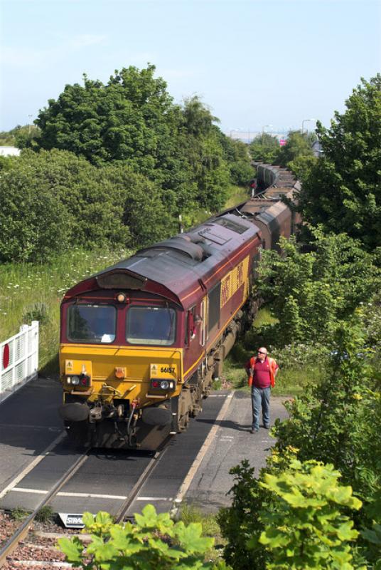Amongst the trees: 66157 on Seafield level crossing with 4S05, Milford - Leith Docks empty HTAs. The vegetation growth is such that the footbridge is barely accessible and the railway is not much better. 25 June 2009 Photo of Amongst the trees