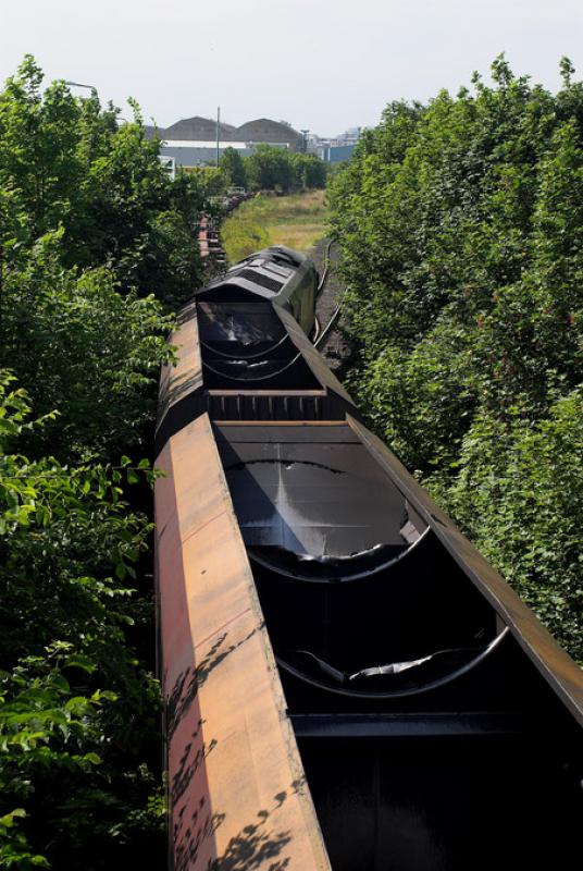 Leith Yard with trees: 66157 negotiates the forest into Leith yard with 4S05, Milford - Leith Docks empty HTAs. 25 June 2009 Photo of Leith Yard with trees
