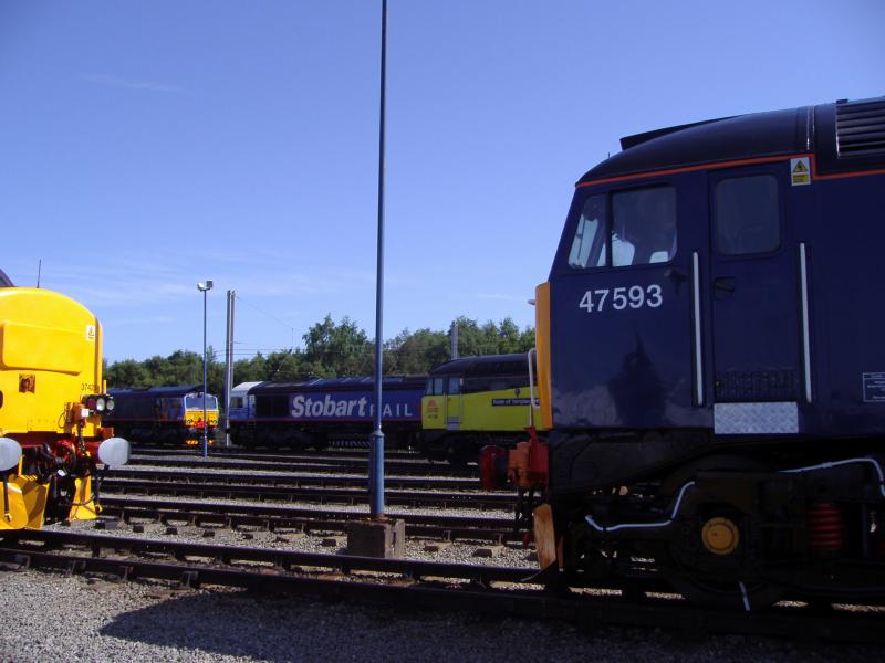 47593 at the DRS Open Day: Looking between the nose of 47593 and 37423 at the DRS Open Day to glimpse a sight of 47739, 66411 and 66412 (11/07/09). Photo of 47593 at the DRS Open Day