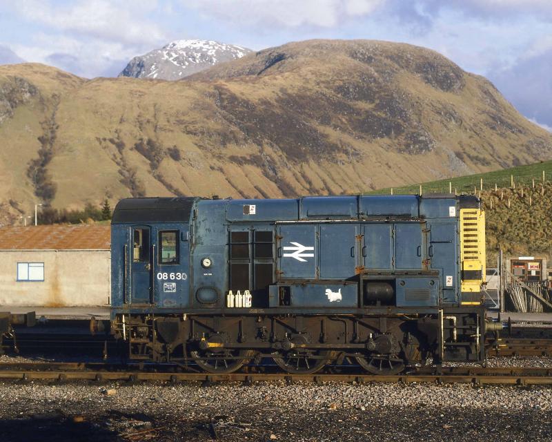Funny place to leave the milk ,but !: Taking it easy under the shadow of Ben Nevis Photo of Funny place to leave the milk ,but !