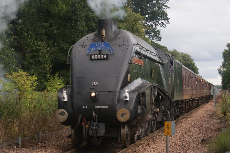 Union of South Africa: The Union of South Africa passing Cambus Level Crossing, Sunday 23 August 2009, on Forth Circle Tour. Photo of Union of South Africa