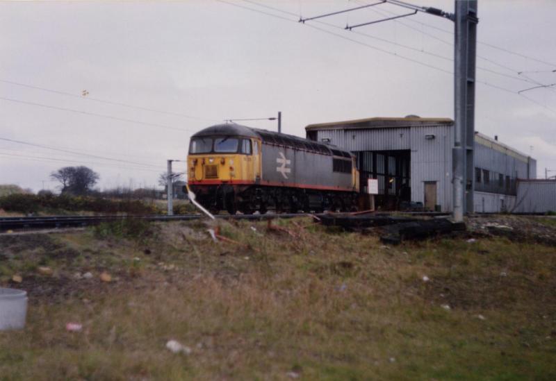 56029 at Millerhill: Red Stripe 56029 stabled on Millerhill. Date Unknown. Photo of 56029 at Millerhill