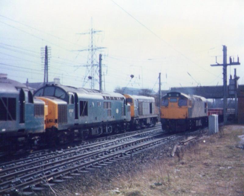The Good Days: Diesels at Mossend in the late 80s Photo of The Good Days