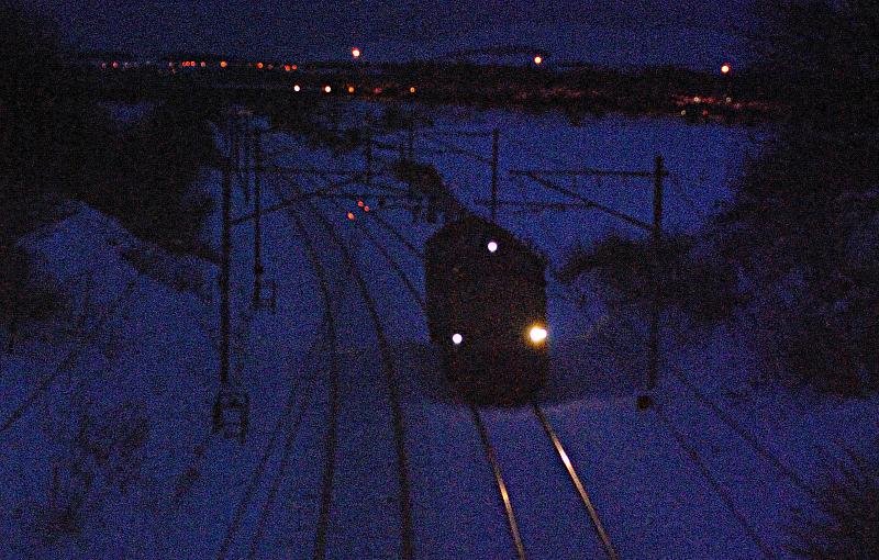 37423 in full sun: NOT Photo of 37423 in full sun