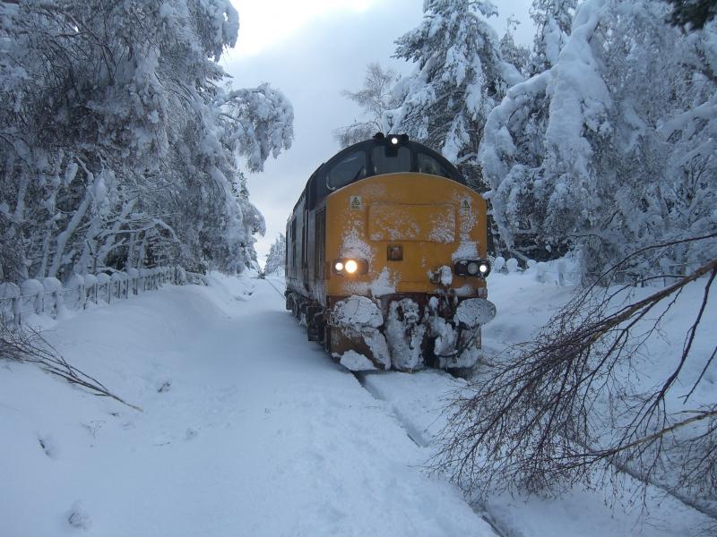 37423 1Z99: 37423 1Z99 near Carrbridge Photo of 37423 1Z99