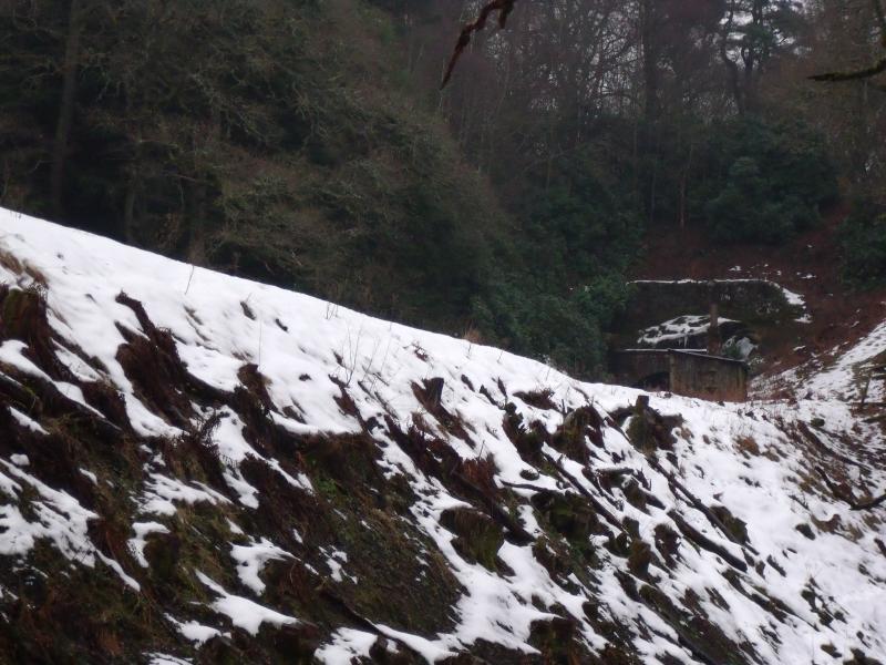 Kingswood tunnel (North side): Photo of Kingswood tunnel (North side)