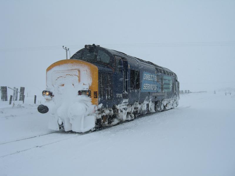 37218 North of Dalwhinnie: 37218 waiting near Dalwhinnie while the engineers clear the points of snow. Photo of 37218 North of Dalwhinnie