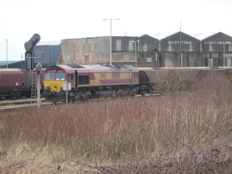 66006 6s13 : 66006 after arrival at Falkland Yard 6S13 HAAS Friday 5 March . Photo of 66006 6s13