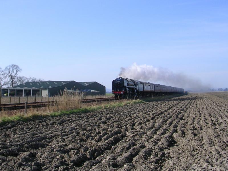 Oliver Cromwell at Templehall Crossing (between Inchture & Longforgan on Perth - Dundee): Photo of Oliver Cromwell at Templehall Crossing (between Inchture & Longforgan on Perth - Dundee)