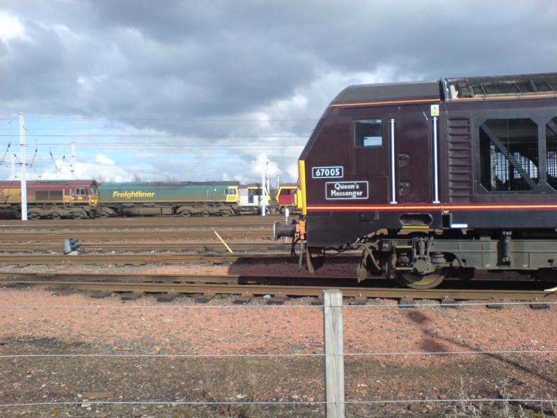 67005 at Mossend Yard: 67005 at Mossend Yard with the noses of 66134, 66508, 92022 and 92031 in the background (04.04.10) Photo of 67005 at Mossend Yard