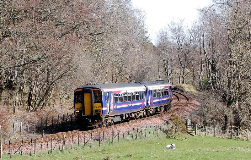 Only ewe: Just south of Kilkerran, a solitary sheep is unimpressed by the passing of 2A05 to Girvan on 10/04/2009 Photo of Only ewe