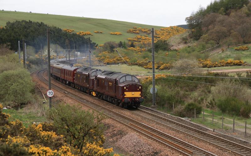 5Z37: 37516 + 37676 on 5Z37 Boness to Morpeth pass Penmanshiel on 02/05/2010 Photo of 5Z37