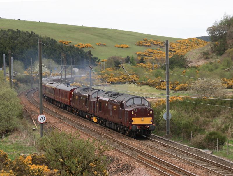 5Z37: 37516 + 37676 on 5Z37 Boness to Morpeth at Penmanshiel on 02/05/2010 Photo of 5Z37