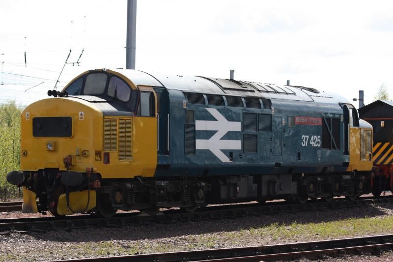 37425: 37425 Sitting at Mossend 8/5/10 11:00 Photo of 37425