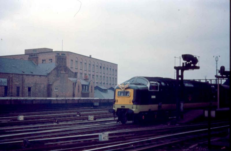 Winged Thistle departs: D9019 as yet unnamed departing from Newcastle Central in 1963 with the Northbound Flying Scotsman in the period the fibreglass Winged Thistle was being worn on the locos.
Photo taken by Derrick Stewart. Photo of Winged Thistle departs