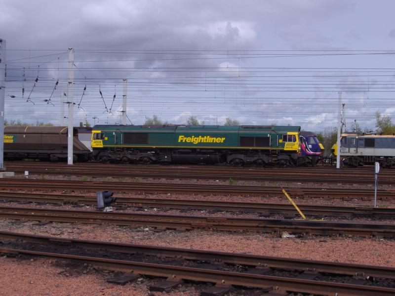 66518 at Mossend Yard: 66518 at Mossend Yard (16.05.10) Photo of 66518 at Mossend Yard