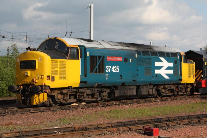 37425: 37425 Sitting in Mossend yard Sunday 30/5/10. Photo of 37425