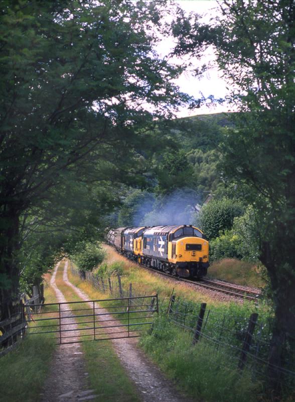 Large Logo on the West Highland: 37404 + sister loco work the afternoon Fort William - Mossend freight away from Monessie Gorge. 17 July 1989 Photo of Large Logo on the West Highland