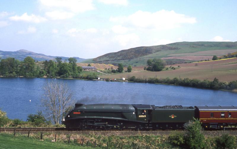 60009 passing Lindores Loch, Fife: 60009 coasting towards Newburgh on 5 May 1990 Photo of 60009 passing Lindores Loch, Fife