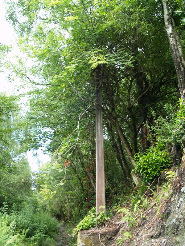 where am I: its a signal but where Photo of where am I