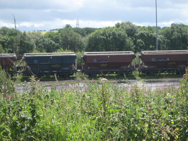 Stored Wagons : Stored hoppers at Thornton Yard Photo of Stored Wagons