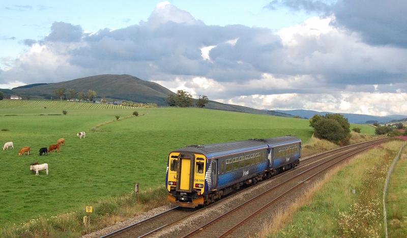Cows at Corsecanon: Corsecanon hill is te backdrop for 156509 on a Glasgow to Carlisle train on August 9th 2010 Photo of Cows at Corsecanon