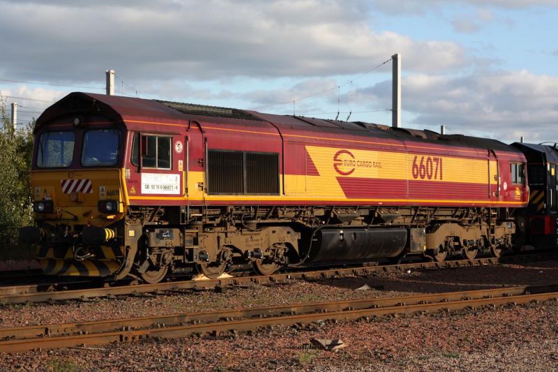 66071: 66071 Euro livered loco at Mossend yard 25/9/10 Photo of 66071