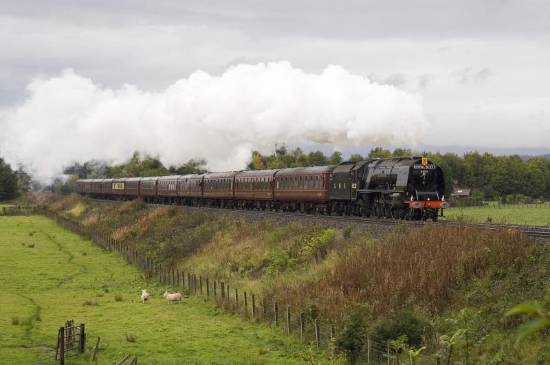 6233: 6233 Duchess of Sutherland passes Bannockburn Station Road with 1Z71 Stirling-Stafford rail tour Photo of 6233