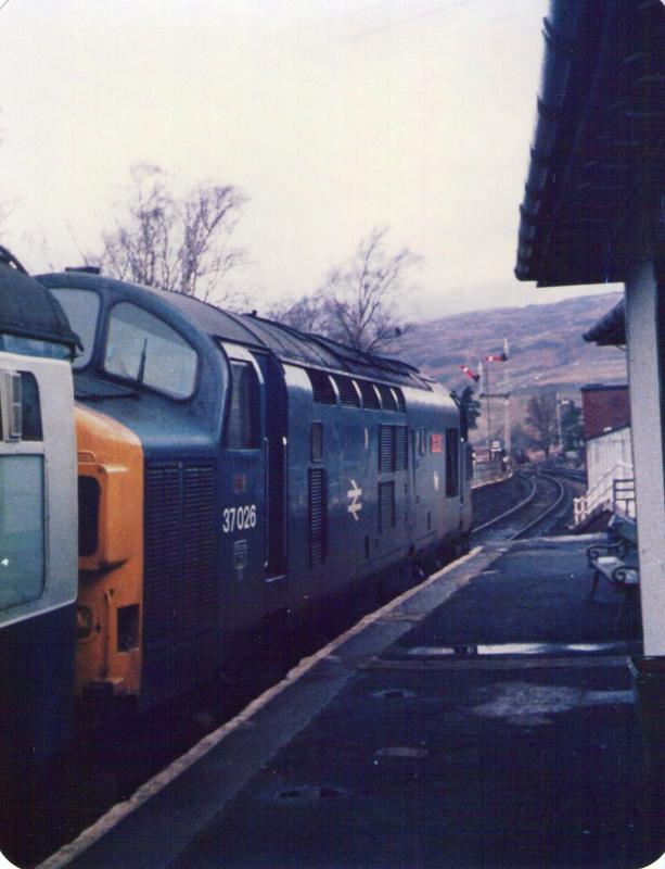 Crianlarich: 37026 gets the Photo of Crianlarich
