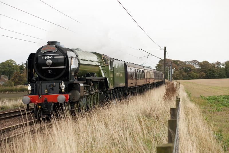 60163 Tornado: Tornado approaching Longniddry with The Royal Borderer 22.10.10 Photo of 60163 Tornado
