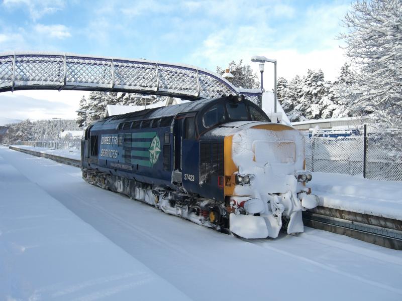 37423 Carrbridge: 37423 working 1Z99 at Carrbridge 27/11/10 Photo of 37423 Carrbridge